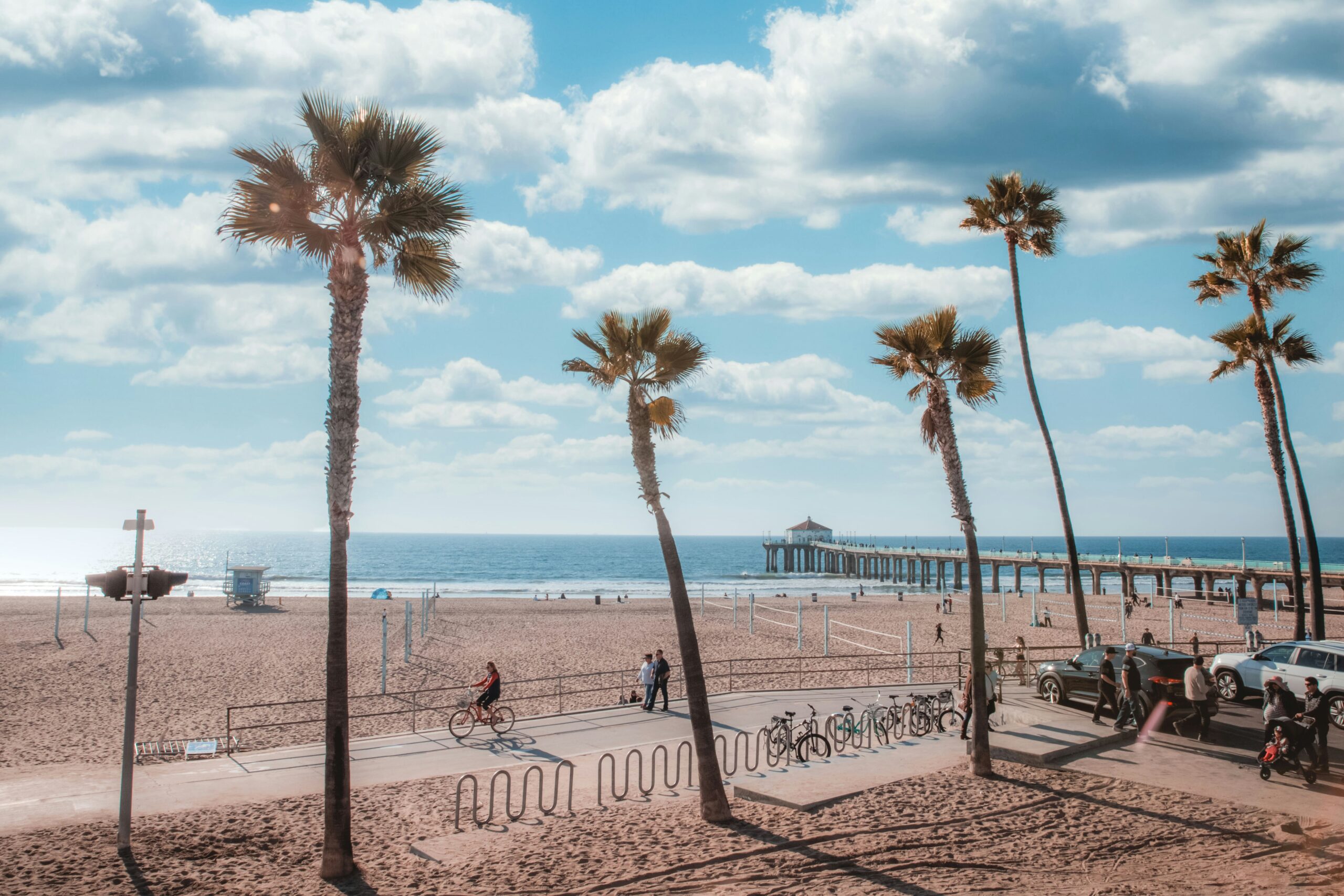 a group of palm trees on a beach